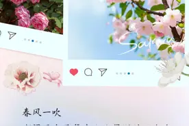 千万别错过！荆门八条“精品赏花线路”来啦！图片