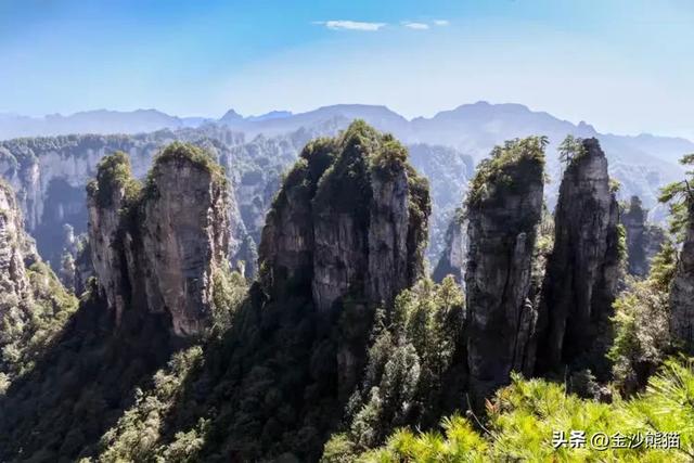 镜头中的山水：寻梦张家界 醉心山水间
