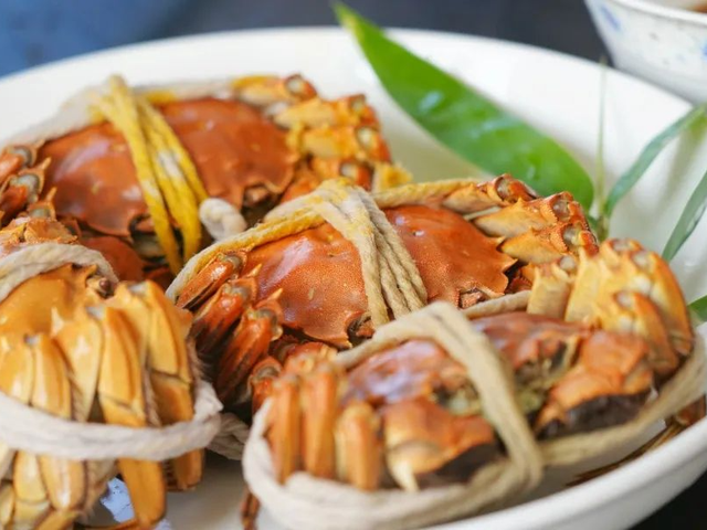 此时的太仓，美到心尖上！