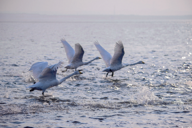 没有保持苹果肌扁平的义务，威海这个“雪窝子”太好玩了！