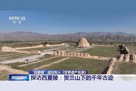 这些“熟悉”的字你会念吗？一起来学习西夏语图片