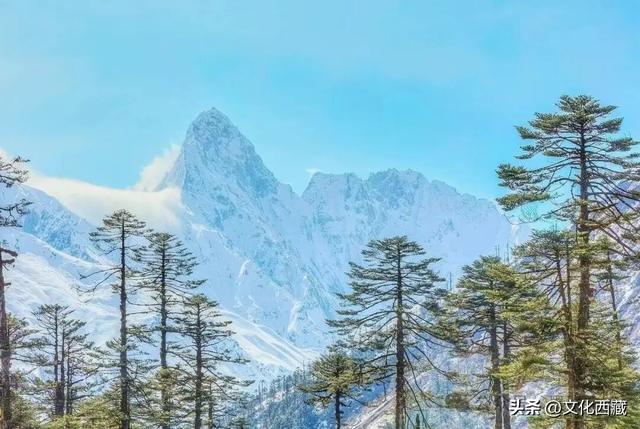 西藏墨脱再创纪录！中国门珞族人口最多、海拔落差最大的县！