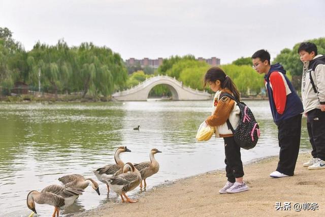 美在邯郸丨水韵鹅城 生态诗篇