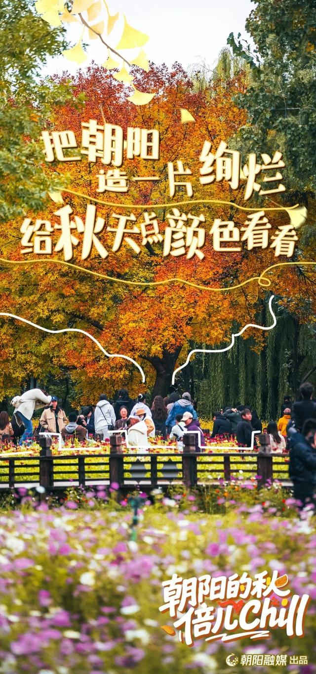 来北京朝阳，开启最chill的秋日漫游——