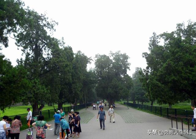 古木参天、绿草如茵，天坛景色秀