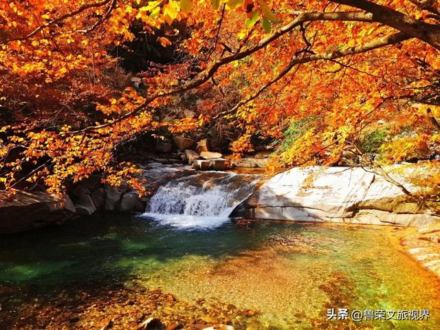 光雾山：川陕腹地的红叶秘境与千年回响