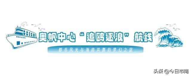 冬日限定浪漫！跟着蒋欣去海上喂海鸥！