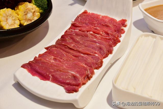 海边游记｜沙海狂飙与绿洲寻踪：内蒙古腾格里沙漠一日“历险记”