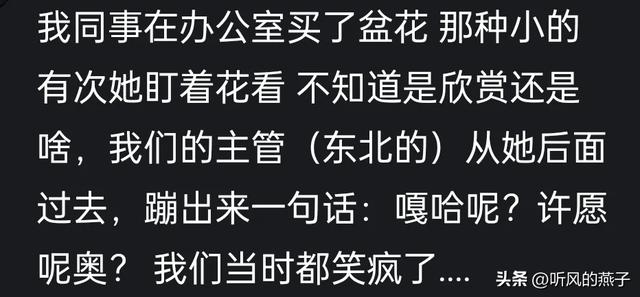 东北人为什么这么有趣?网友分享: 东北人自带幽默感,骨子里的