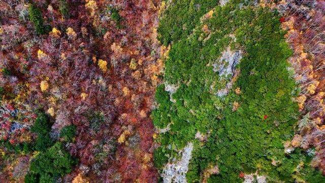 四川这个地方的初冬，是彩色的！