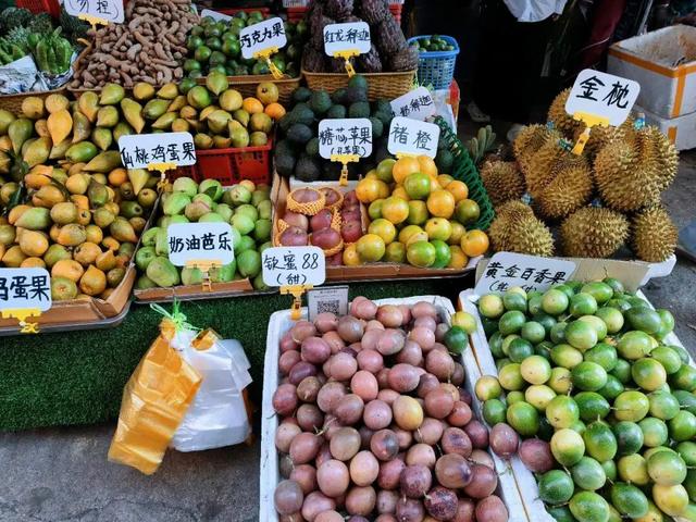 三亚地位不保？东北人悄悄换目的地，一去西双版纳就不想回来了