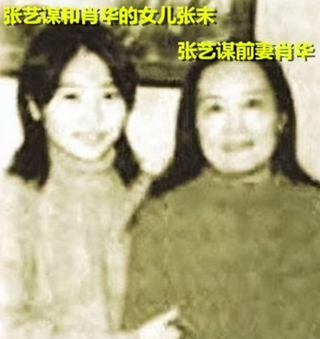 25年恩爱抵不过残酷现实，74岁张艺谋年老色衰，43岁陈婷开的正艳