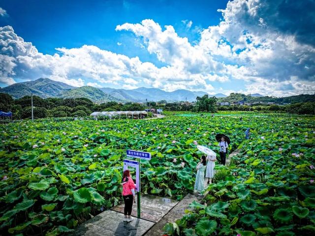 从化区江埔街入选省文旅特色镇入库级名单