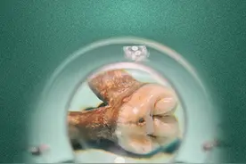 何以中国·运载千秋｜一条大运河 半部华夏史图片