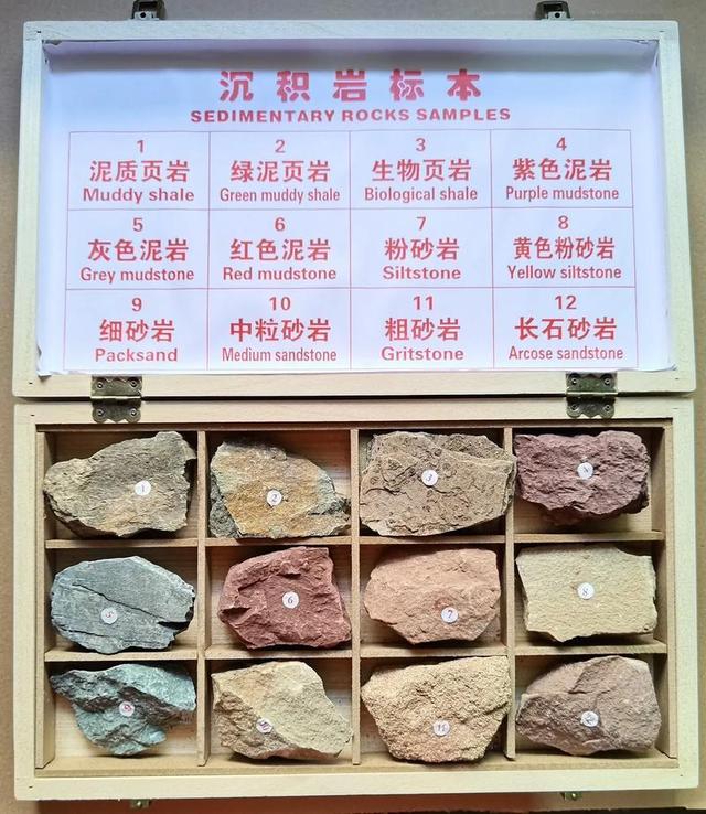 改写地球史，还能探火星？AI“听”到33亿年前岩石里的生命回声！