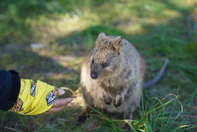 素颜版巴黎走红，推荐一处不“照骗”的目的地！
