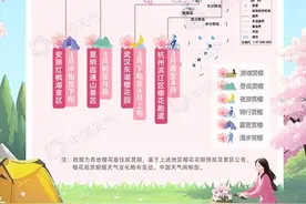 2025全国花式赏樱地图来了 十大胜地带你解锁春日赏花新玩法图片