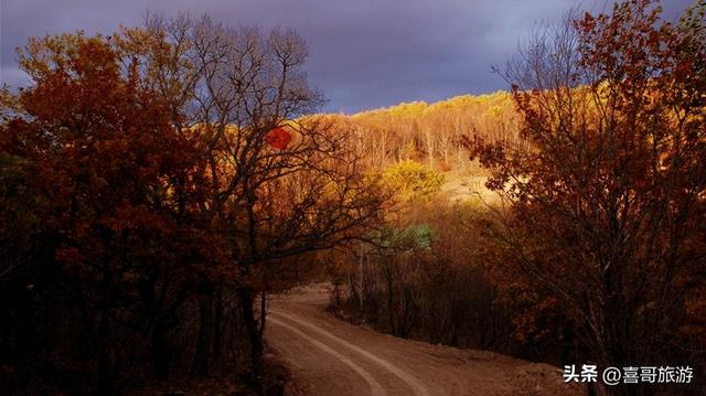 长春周边冰雪仙境！海拔近500米生态覆盖率87%，曾是皇家避暑圣地