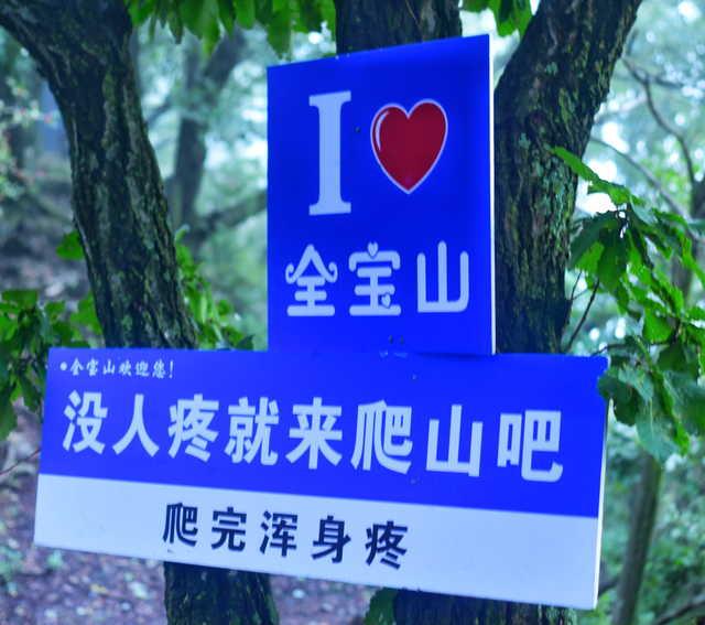 秋雨过后登洛宁全宝山——一路奇遇，终临巅峰!