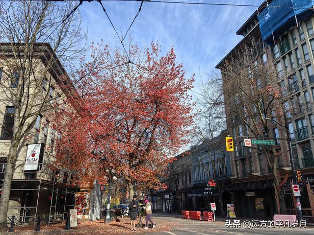 温哥华游记（六）