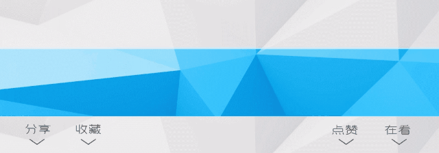 15米孔雀花雕亮相，七彩花海即将开放→