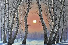 月黑风高夜图片