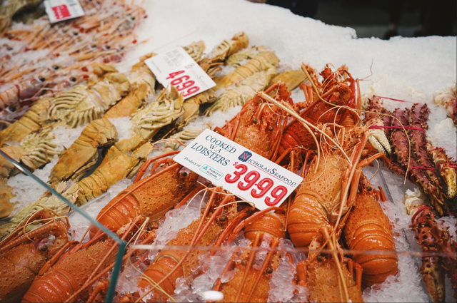 今年冬天，我想去这里过夏天