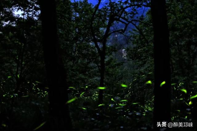 何处不是浪浪山？下一站，天台山！
