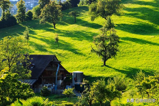 欧游杂记（5）‖ 齿轮火车几上几下瑞吉山，缆车凌空飞跃韦吉斯