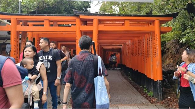 游记：关于日本的喜欢与不喜欢