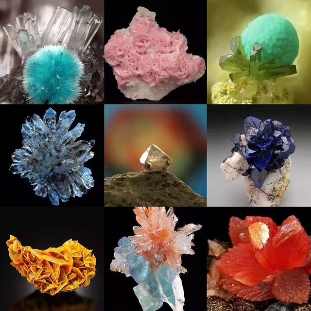 文旅临沂提醒！2026年免费、优惠福利来了！！