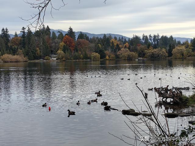 温哥华游记（一）