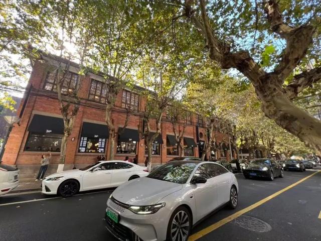 “红房子”，刷屏了！