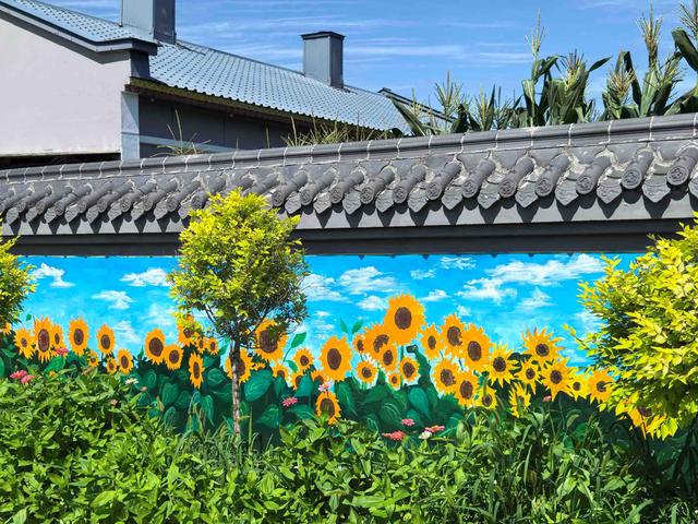 哈尔滨市香坊区25.7米长“向日葵大墙”等你来打卡
