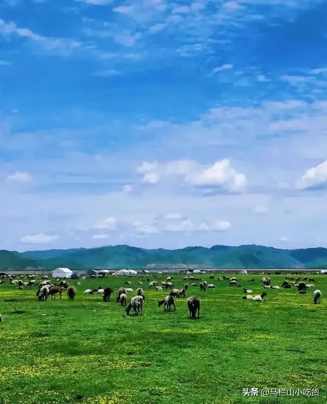 甘南旅行攻略 | 打卡藏地风情的小众宝藏地