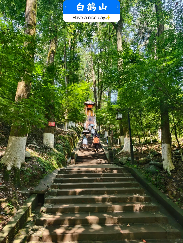 邛崃白鹤山千年绿道，成都0.5h直达，玩转古寺禅意+森系秘境！