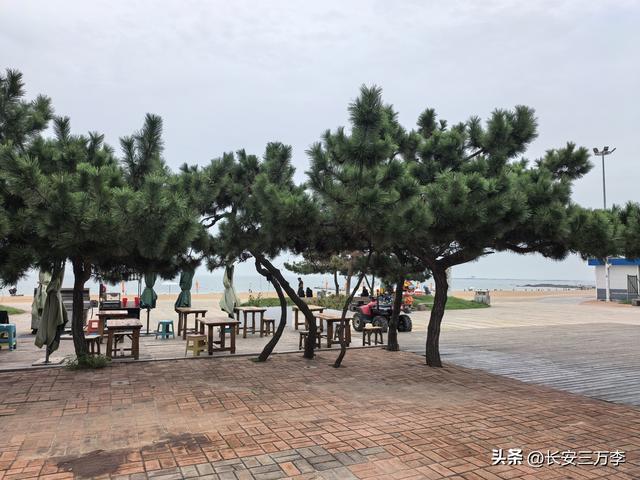 北上大草原第2站：山东日照