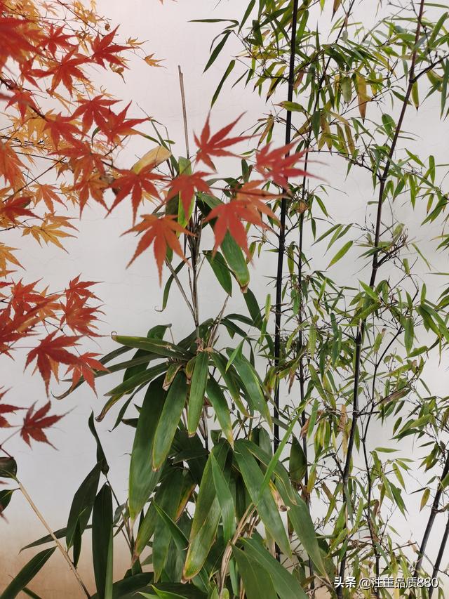 据我实际体验，冬天不宜自驾游