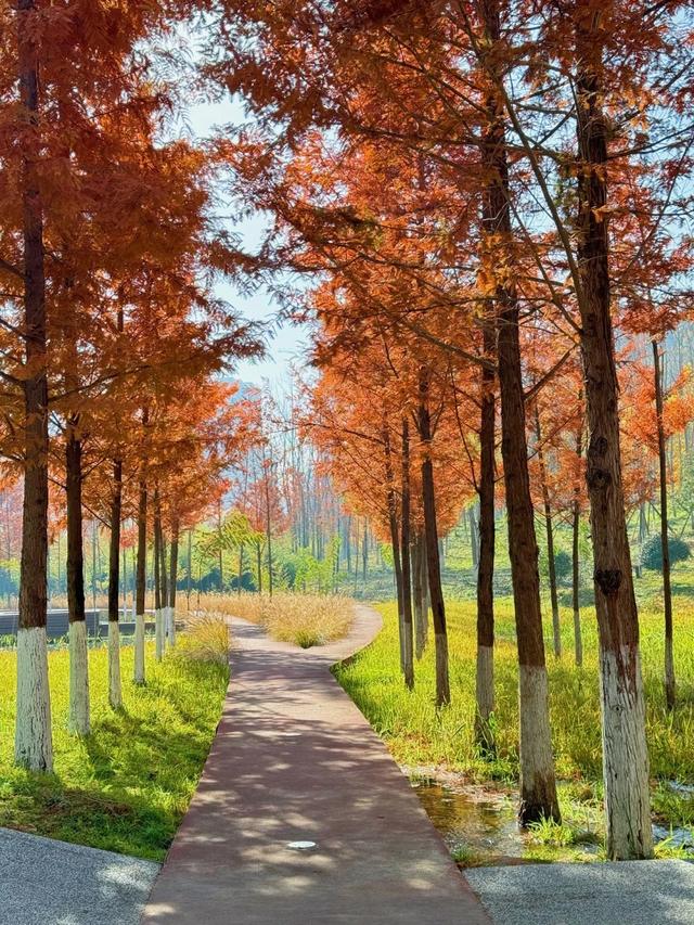 西安周末好去处——初冬8处宝藏公园免费又好玩！