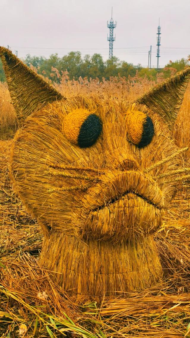 一场“叶舞+稻草”的双重奇遇！北京园博园秋游正当时——