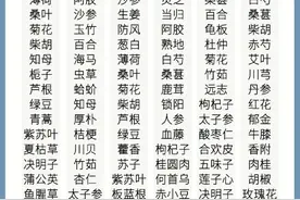 常见病对症中药速查，一眼看懂中药作用！图片