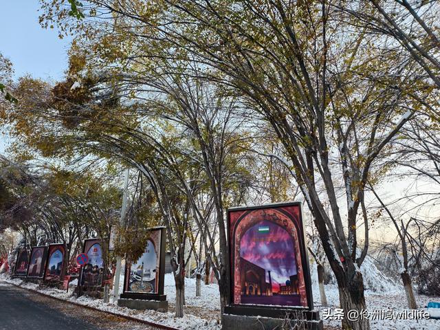 新疆乌鲁木齐红光山大佛寺