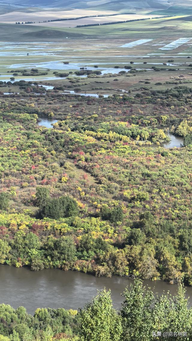 游览亚洲最大的额尔古纳湿地，分享恩和住宿（14）