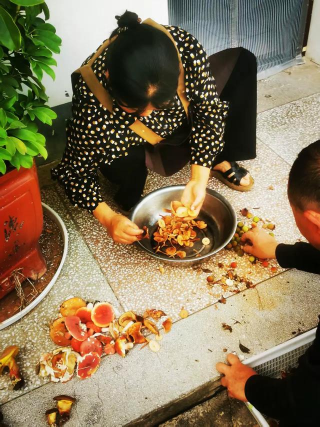 【云南陆良】芳华雨补拾菌记