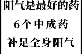体内寒痰瘀如何清？6款中成药，补足阳气，一身轻松！图片