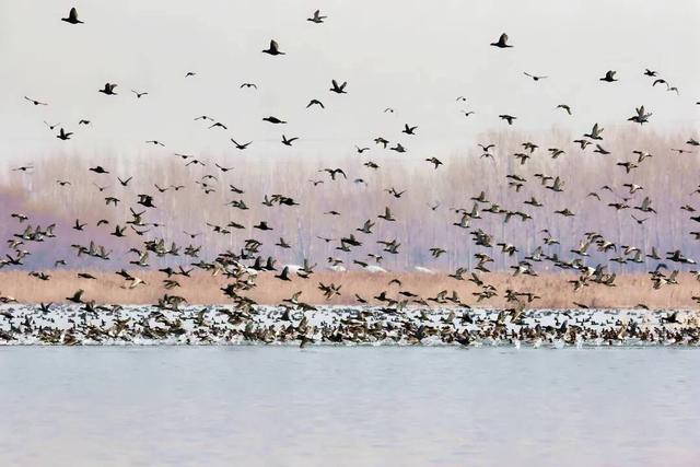 这个冬天，用一场济宁之旅兑现“爱你老己”的承诺