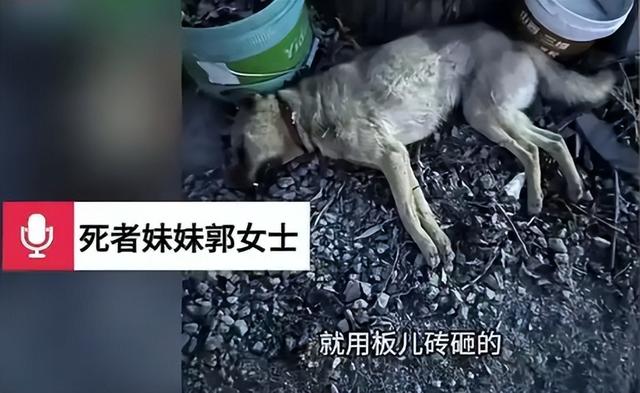 从“狗咬人”到“人杀人”：60岁老汉挥刀反杀，法院怎么判？