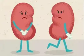 倪海厦：90%以上高血压，在临床治疗的时候，都是要看肾脏功能的图片