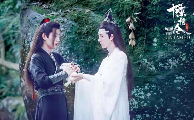 守寡20年的仙门寡妇，竟在雷劫夜生下仇敌转世的灵胎