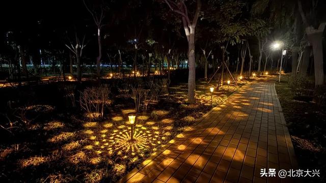 公园变身“太空基地”！遛娃打卡又有新去处